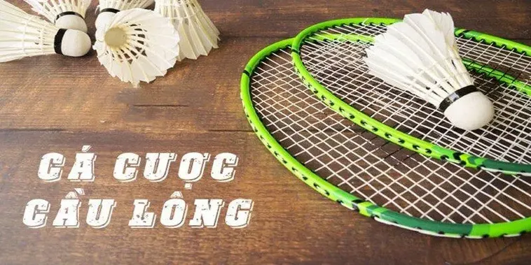 Hướng Dẫn Cá Cược Cầu Lông W88 Thắng Lớn Cho Người Mới