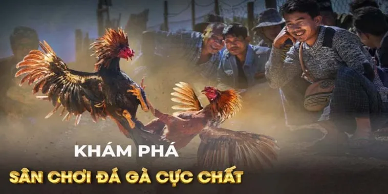 Cách Chơi Đá Gà GA28 Tại W88 Đơn Giản Dễ Thắng Nhất