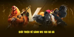 Cách Chơi Đá Gà WS168 Tại W88 Kịch Tính Dễ Thắng Nhất