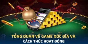 Trải Nghiệm Xóc Đĩa Tại W88 – Cơ Hội Thắng Lớn Đỉnh Cao